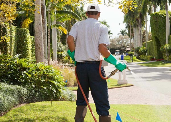 About Sumner IA Pest Control